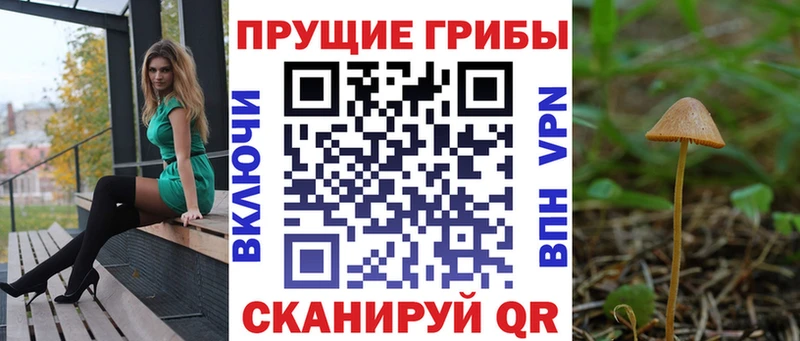 Галлюциногенные грибы Psilocybine cubensis MEGA вход Мглин